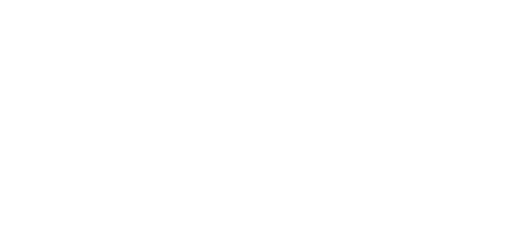 Leads in the Know transparent footer logo